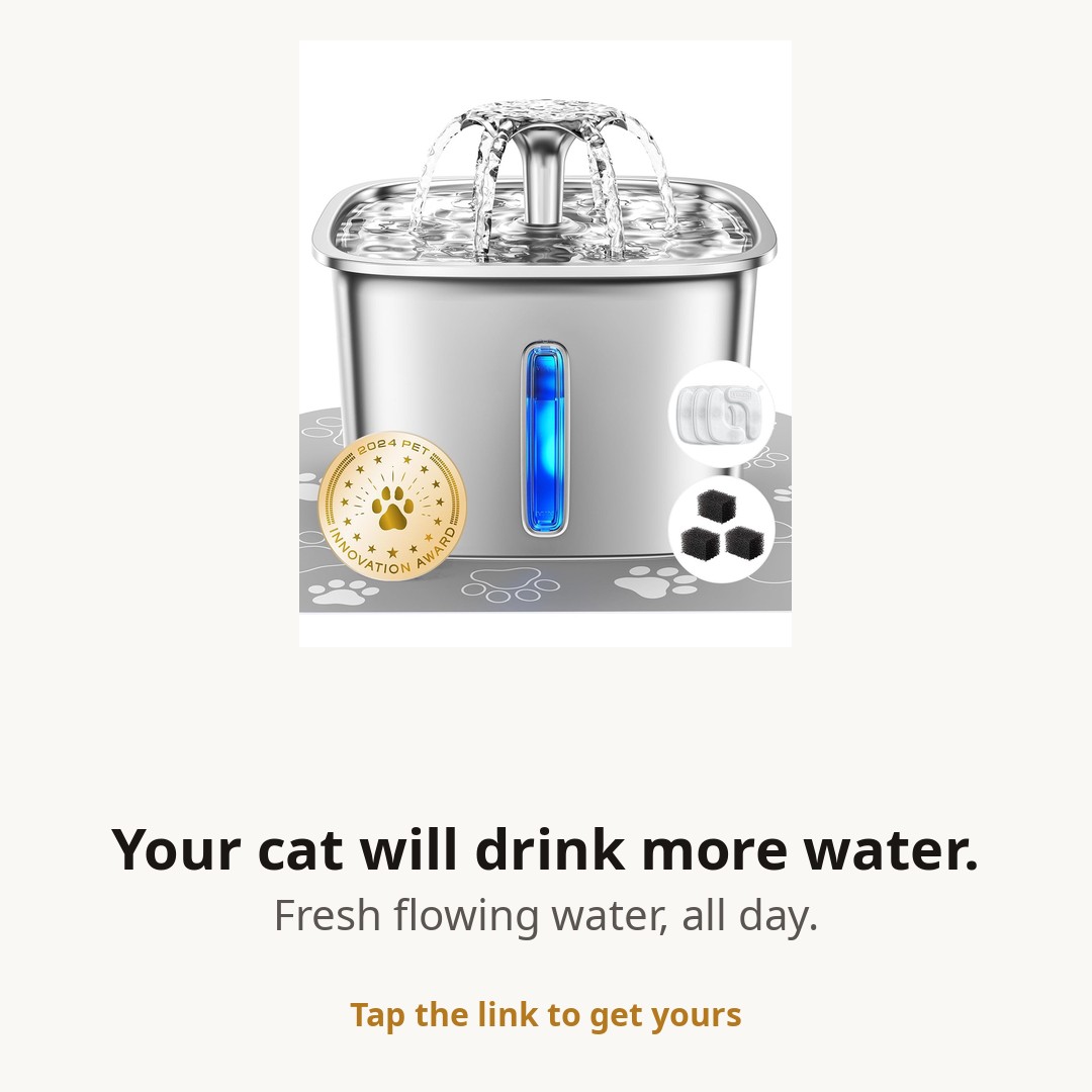 Veken Stainless Steel Cat Water Fountain